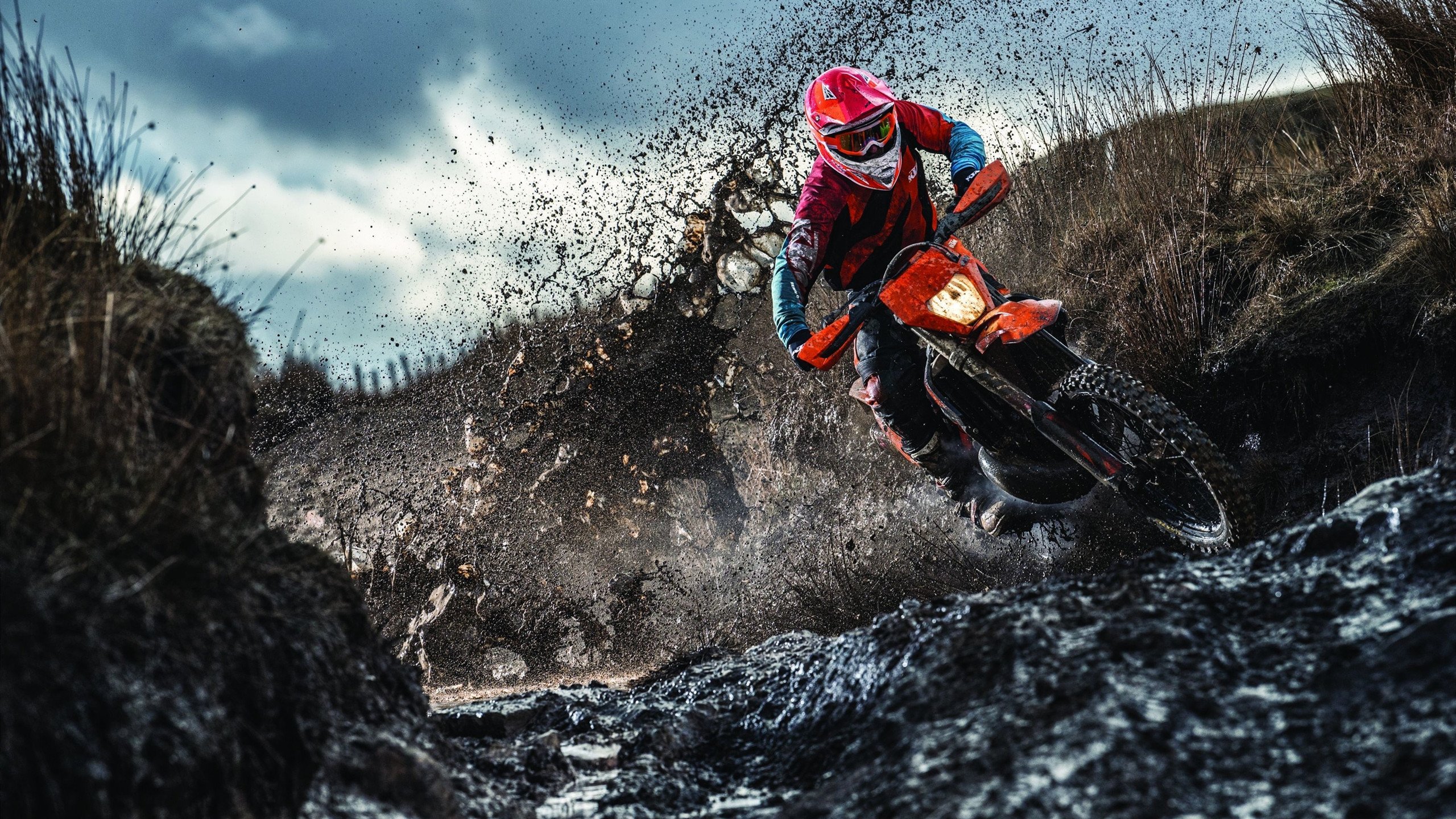 爱游戏娱乐-法拉利内斗葬送冠军，热火绝杀诠释何为团队